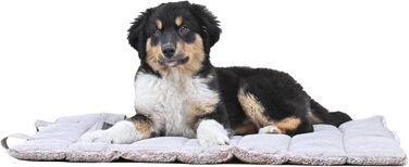 Килимок для собак середнього розміру, прямокутний, бежевий – захищає суглоби, двосторонній, літо/зима, легко транспортується, не деформується, можна прати в машині, L (65 x 80 см)