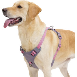 колір: роза