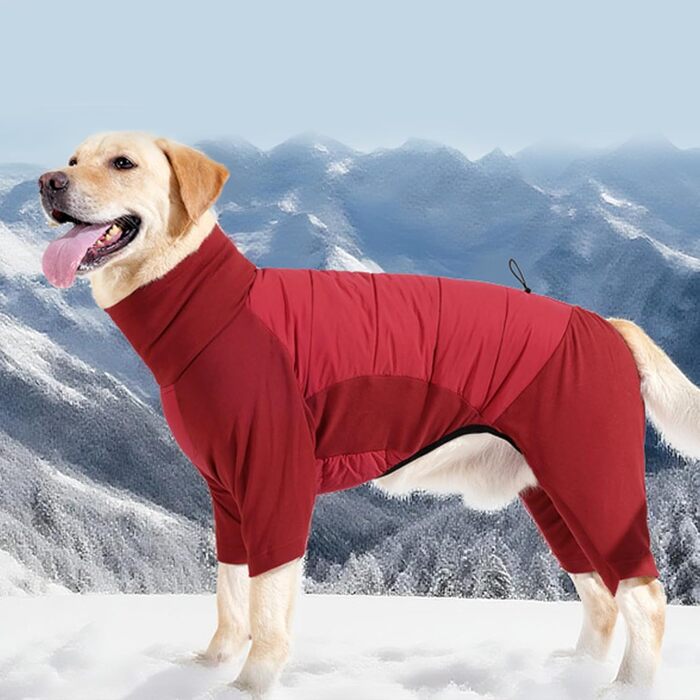 Водонепроникний зимовий одяг для собак: теплий куртка з високим коміром для маленьких, середніх та великих собак. Ідеально для кемпінгу та прогулянок на природі. Червоний колір, розмір M