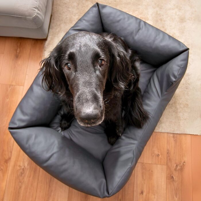 4L Textil Hundebett Mario: Квіткове ліжко для собак з штучної шкіри, 100x70 см, Графіт