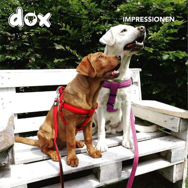 DDOXX нейлоновий шлея-ремінь для собак, регульований, для цуценят і дорослих, розмір XXS, рожевий