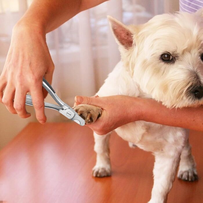 Ножиці для стрижки кігтів собак - міцні, з нержавіючої сталі | Для великих та середніх порід собак, котів, домашніх тварин, у дорогу, для використання в приміщенні та на вулиці