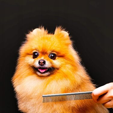 Електрична машинка для стрижки собак та котів Retoo з 4 насадками та регулюванням довжини