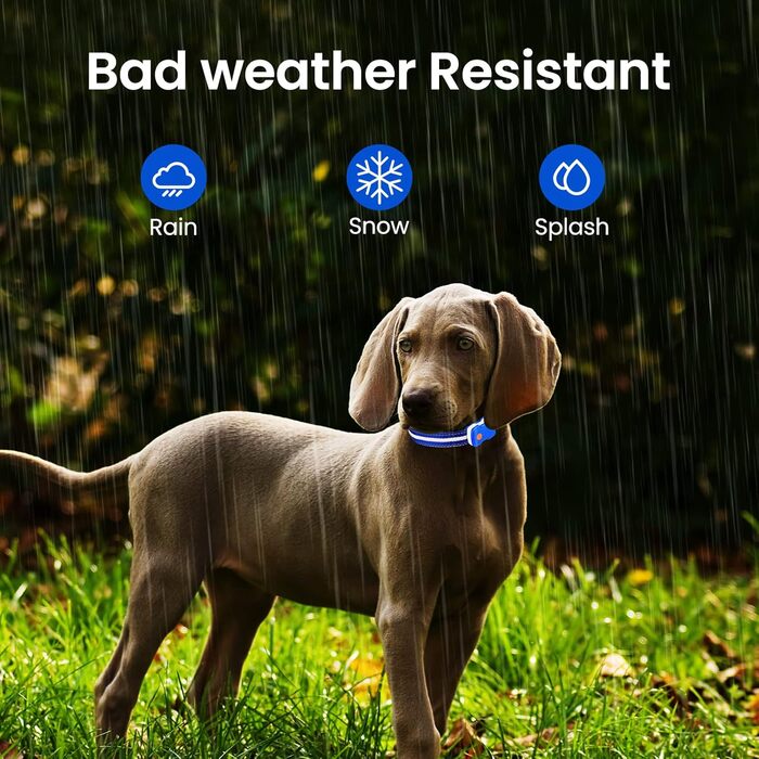 Світлодіодна нашийник для собак ASBRILL з підзарядкою, 7 кольорів RGB, 8 світлодіодів, регульований, вологостійкий, для маленьких, середніх та великих собак (S, блакитний)