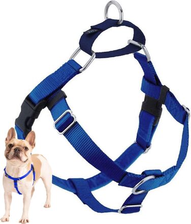 Шлея для собак 2 Hounds Design Freiheit Wags Whiskers, проти тягнення, 5/8 дюйма, середня, королівський синій