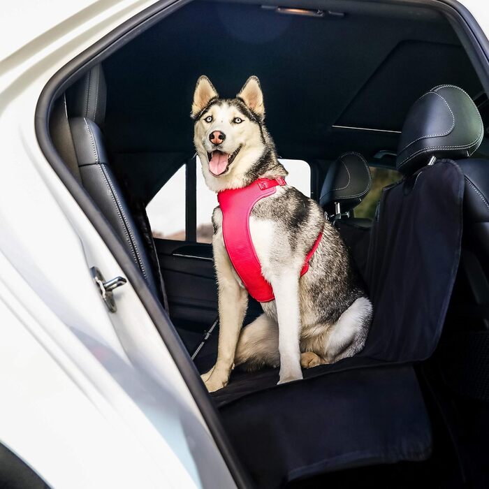 BarksBar водонепроникний чохол для автосидіння для тварин XL, чорний, з анкером, для авто, вантажівок та SUV, не ковзає