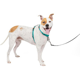 PetSafe 3-в-1 шлея для собак, анти-тяга, для авто, з відбивачами, ручкою, розмір M, чорна/синя/фіолетова