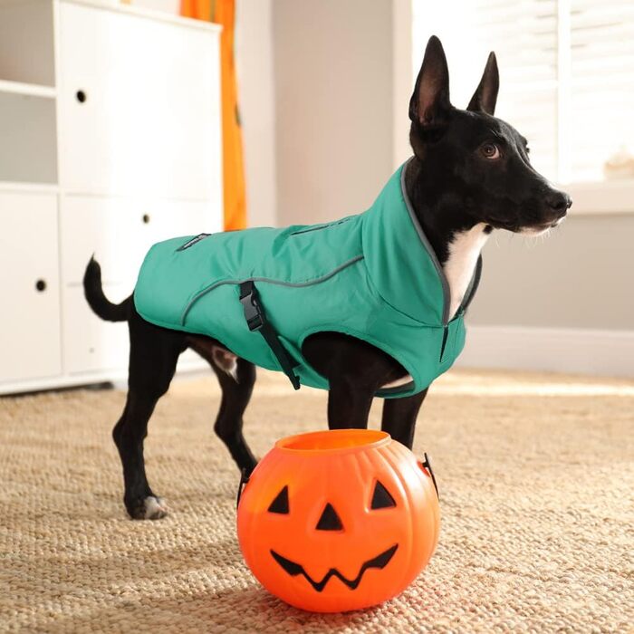 Зимовий теплий намет для собак EMUST, водонепроникний, регульований, для маленьких, середніх та великих собак, зелений, розмір L, блакитний