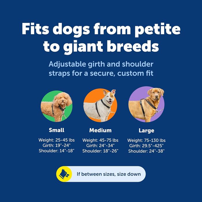 Шлейка PetSafe 3-в-1 з двоточковою контрольною лінією, індивідуальна посадка, зносостійка, обладнання для дресирування, зменшує тягу, дихаюча, чорна, середній розмір (упаковка 1)