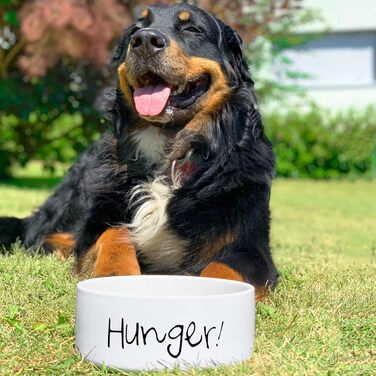 Керамічна годівниця для собак «Hunger» - миска для корму та води, 1.300 мл