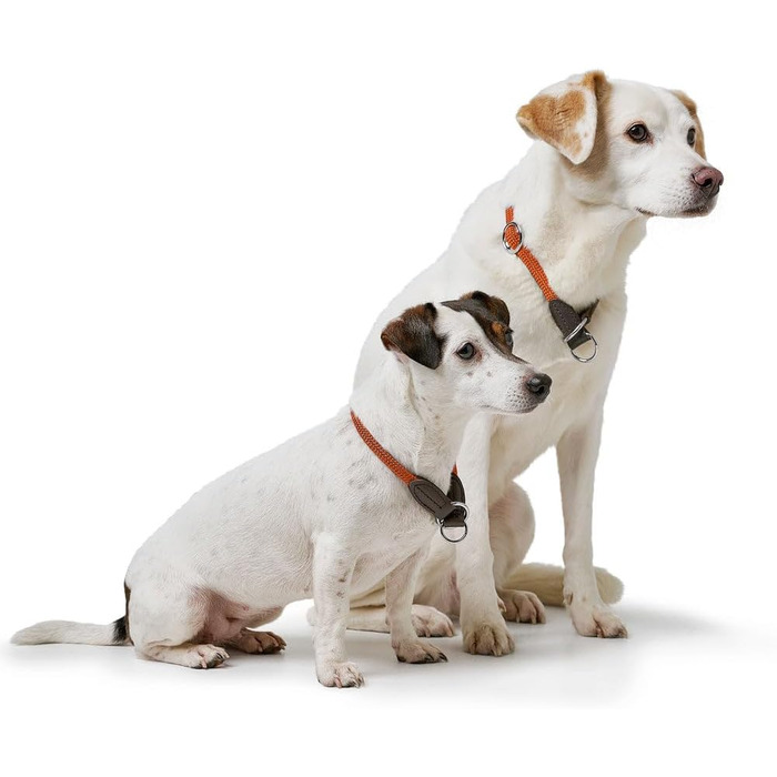 HUNTER Dressurhalsung FREESTYLE, чорний, міцний ошейник для тренувань та повсякденного використання, розмір L