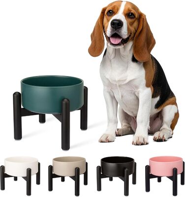 Підвищена годівниця для собак, керамічна миска для корму з нержавіючою підставкою, для малих та великих собак, діаметр 15,5 см, об'єм 850 мл, білий колір (середній, зелений)