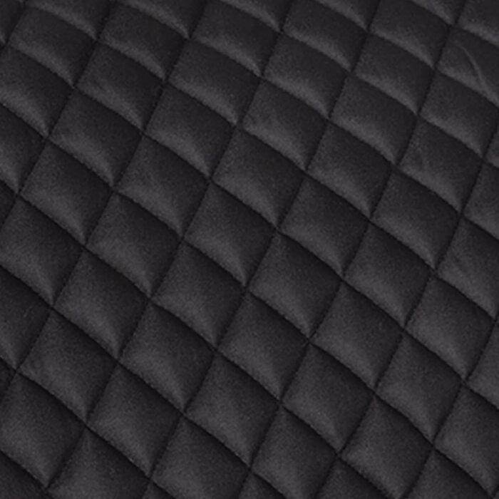 Шетландська підкова WALDHAUSEN Felix, чорна