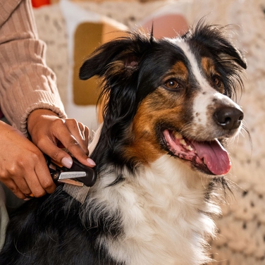 Ножиці-пропоривники Fiskars Pet Care для стрижки собак та котів, 17,2 см