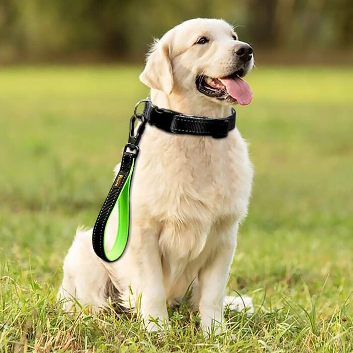 PLUTUS PET короткий повідок для великих собак 25,4 см, з карабіном та м'якою ручкою, чорний