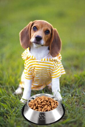 Набір з 2 мисок для собак з нержавіючої сталі, великі та малі, антиковзні, 30 см та 18 см