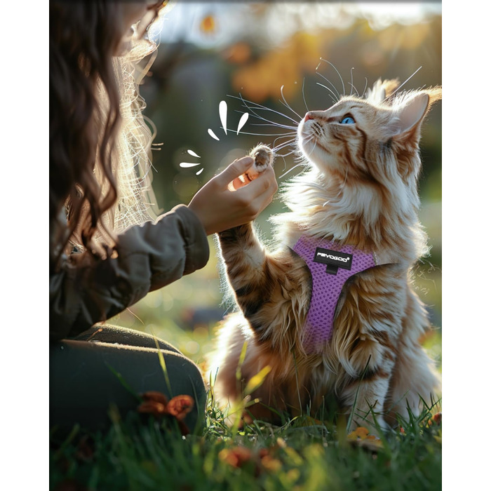 Шлейка для котів FAYOGOO вибухозахисна з повідком, шлейка для котів анти-вислизання та регульована, повідок для котів з відбиваючими смугами для безпеки та комфорту вночі, M (фіолетовий, L (упаковка з 1))