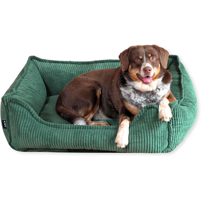 4L Textil М'яке собаче ліжко з корду Hugo Premium-LINE, ортопедичне для маленьких собак, з піною Memory Foam, 100x80 см