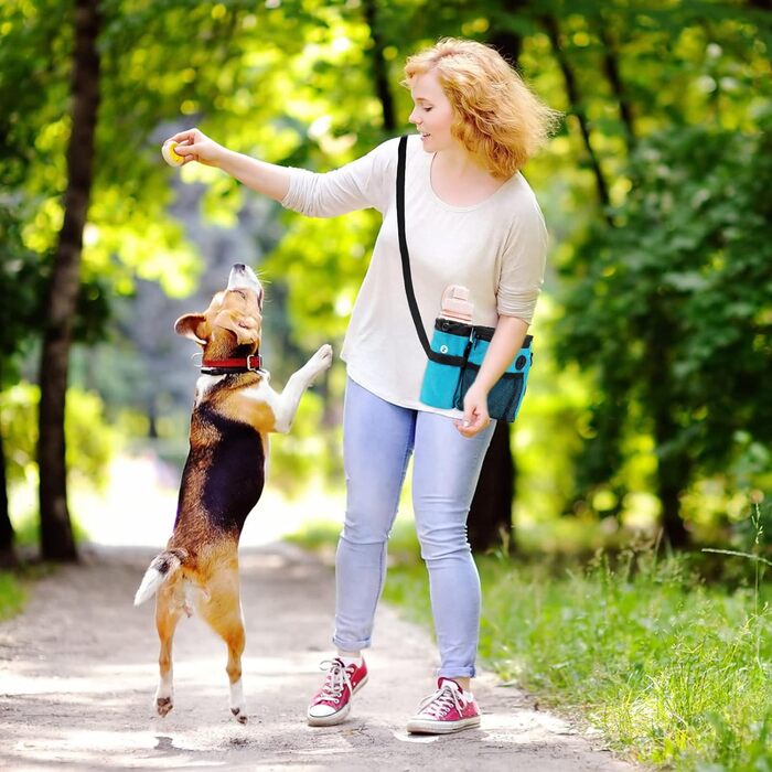 Сумка для корму для собак 2-в-1 з пляшкою води та диспенсером для пакетів, чорно-зелена/блакитна