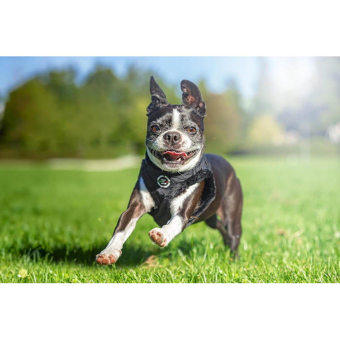 М'який нашийник для собак CHIARA MIA, розмір XL, чорний. Водовідштовхуючий, з регулюванням на липучці, світловідбиваючі смуги.