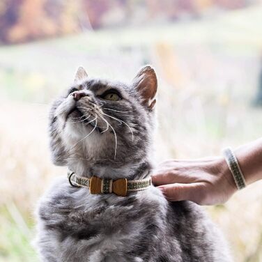 Pettsie нашийник для котів із безпечним замком та дерев'яною метеликом, комплект з браслетом для господаря, міцна бавовна, регулювання 20,3-28 см, чорний