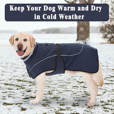 Водонепроникний зимовий одяг для собак: теплий пуховик, куртка, флісовий светр, одяг для собак з коміром з хутром, світловідбиваючий, для малих, середніх та великих собак, водонепроникний, колір морської хвилі (M)