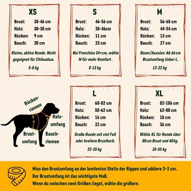 Шлея для собак Nomadog Trailblazer, антивитяг, з м'якою підкладкою та ручкою, регульована, відбиваюча, алюмінієві кільця, для активних собак середніх порід (M)