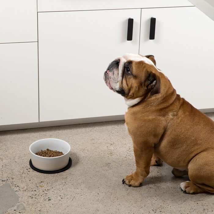 Силіконовий килимок для собак Waggo Habit - 2 шт. (великий, білий) - для маленьких, середніх та великих порід, миючий, стійкий