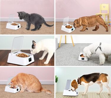 Автоматичний годівник для котів та собак – Інтелектуальний інфрачервоний датчик для сухого/вологого корму (350 мл) з нержавійною чашею – Практичний дозатор корму для маленьких/середніх тварин