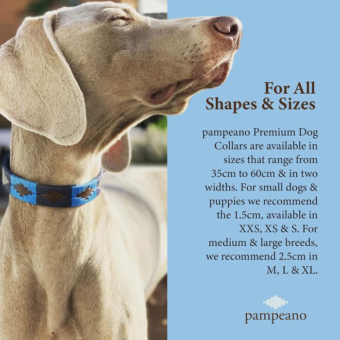 Ошийник для собак pampeano Azules Polo, 2,5 см, шкіра, ручна робота, преміум, Аргентина, подарункова коробка, для великих і малих порід