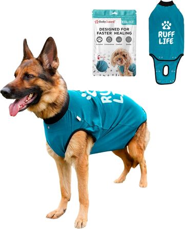 Захисний боді для собак після операції (кастрація/стерилізація), альтернатива комірцю, блакитний, 2XL