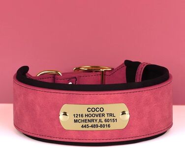 Нашийник для собак середніх та великих порід PET ARTIST з міцної PU шкіри, з гравіюванням, металева застібка, L (M: Neck 33-41см, Width 3см), червоний