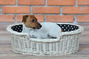 Плетений кошик з лози для собак і котів з подушкою, кремовий, 100 см