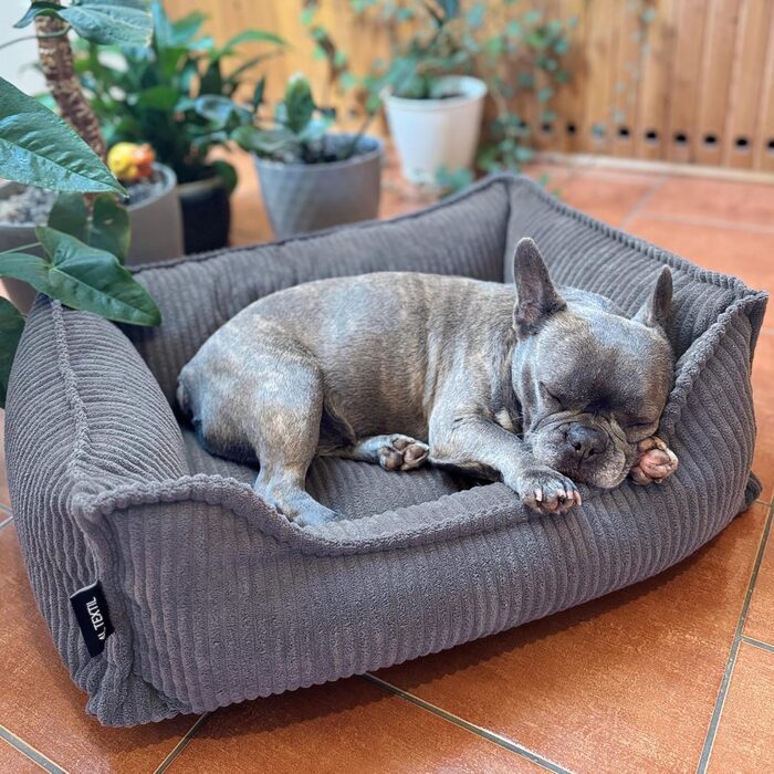 4L Textil М'яке собаче ліжко з корду Hugo Premium-LINE, ортопедичне, для маленьких собак, з піною з пам'яті, знімний чохол, плюшеве (темно-сірий, 60x40 см)