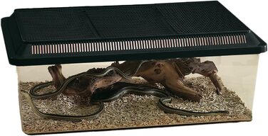 Контейнер для тварин Fauna-Box Low чорний 50,5x30,5x18 см, 18 л