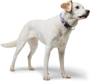 Нашийник для собак HUNTER Neopren Vario Plus, лаванда/сірий, S-M