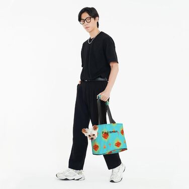 Транспортна сумка-переноска для котів та собак, складна, для подорожей (Love)