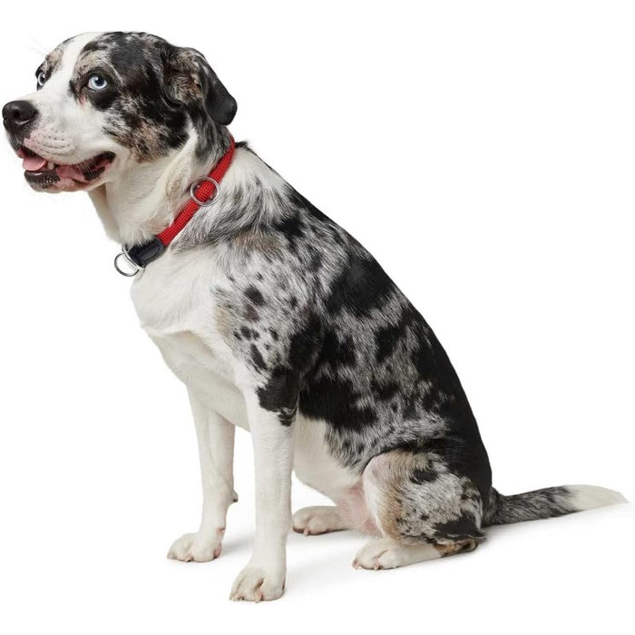 HUNTER Dressurhalsung FREESTYLE, чорний, міцний ошейник для тренувань та повсякденного використання, розмір L