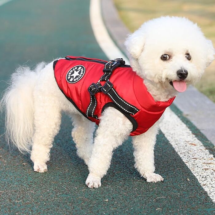 Водонепроникний зимовий одяг для собак Nordsee Pfote - тепла куртка з інтегрованим шлейкою та світловідбиваючими елементами, чорний, 5XL