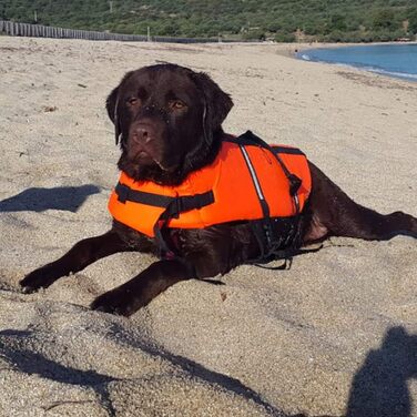 Спасальний жилет для собак Croci C6020097, 35 см