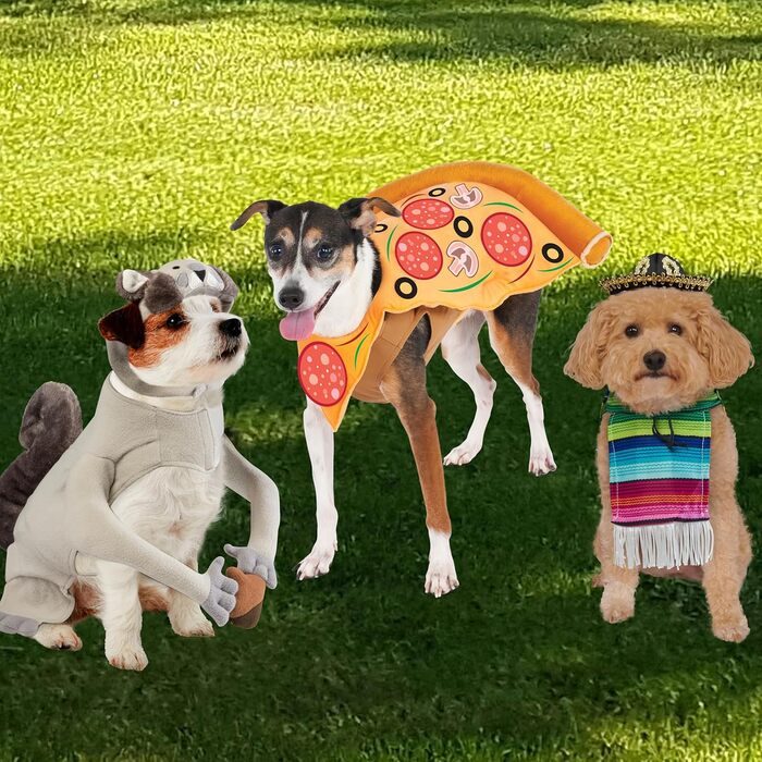 Костюм для собак Рубіс: мексиканський сарапе, розмір S, для Хелловін