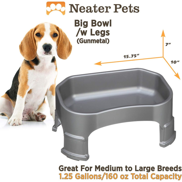 Neater Pet Brands Велика миска для собак з ніжками, 4.7 л, для корму чи води, темно-сіра