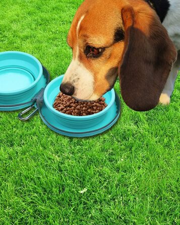 Складні миски для собак KALLAK з силікону (2 шт.) з кейсом для подорожей - для води та корму, нековзні, розкладні, для маленьких та великих собак