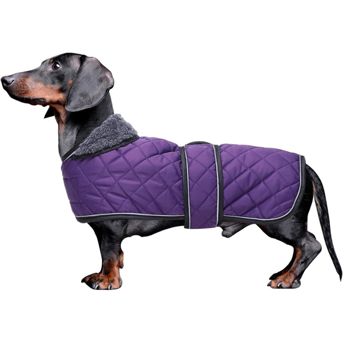 MOREZI Зимовий теплий одяг для собак - водонепроникний пуловер для такс з вовняною підкладкою та регульованими ременями, теплий зимовий одяг для маленьких собак на вулицю, колір зелений, розмір S (довжина спини: 36-38 см), зелений (S(довжина спини:36-38см