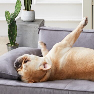 Ортопедичне ліжко для собак HomeConic середнього розміру - м'яке диван-ліжко з Memory Foam, зручне місце для сну, ліжко для собак та котів, сірого кольору