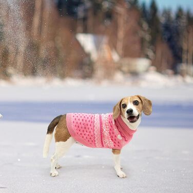 Пуловер для собак SCENEREAL: теплий, стильний, з коміром-гетром. Ідеальний для зими, свят та відпочинку. Підходить для собак різних розмірів (S, M, L).