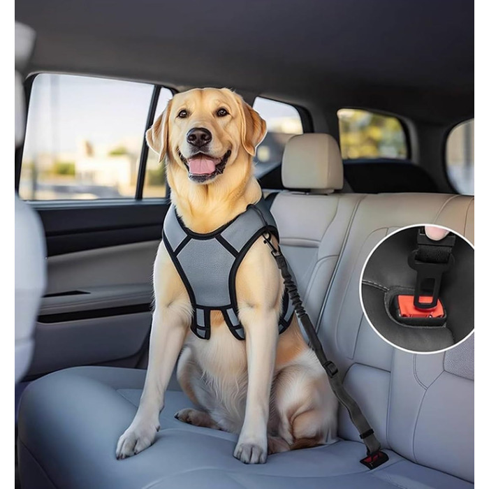 Ремінь безпеки для собак в авто: 2 шт., чорний, 60 см, з регулюванням та амортизацією