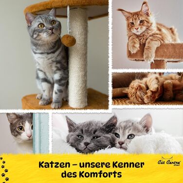 Лоток для котів з високим бордюром, без кришки, рожевий + кремовий, розмір L 50 x 38,5 см