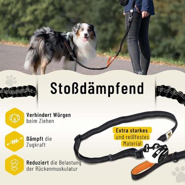 Еластичний повідок для бігу з великим собакою Hundefreund, для собак від 15 кг, зручний пояс, знімний повідок з двома м'якими ручками, оранжевий, довжина 120-170 см