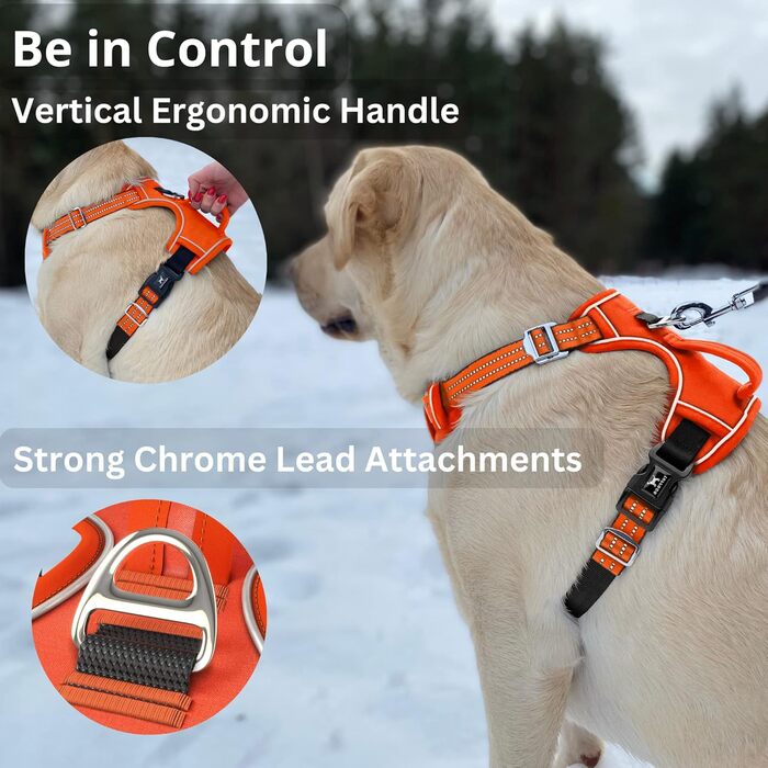 Шлея для собаки TUFFDOG Easy-Fit M, зручна, м'яка, світловідбивна, із ручкою, регульована, антиковзна, комплект із повідцем, Blaze
